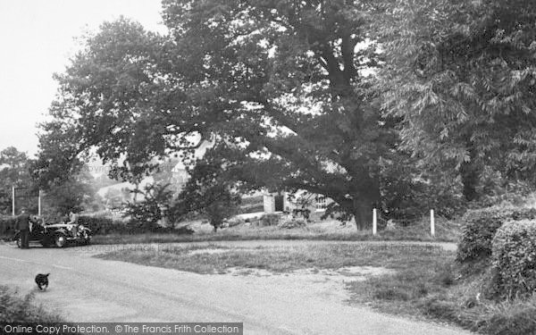 Photo of Orcop Hill, The Fountain Oak c.1955