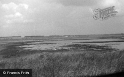Havergate Island 1965, Orford