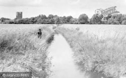 Reed Beds And Castle c.1950, Orford