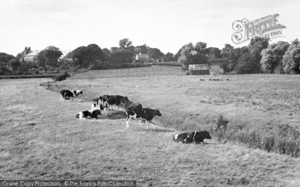 Photo of Orford, The Meadows c.1950