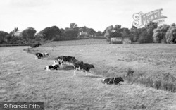 The Meadows c.1950, Orford