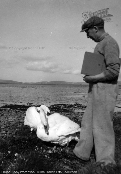 Photo of Orkney, Swan's Nest, Unstan c.1955