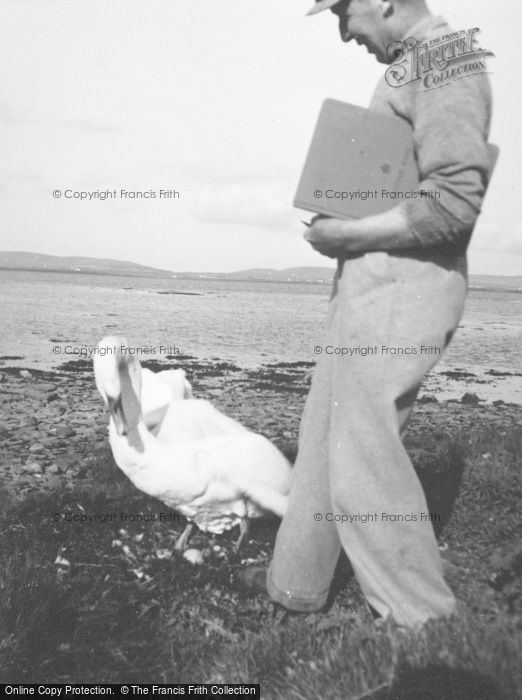 Photo of Orkney, Swan's Nest, Unstan c.1955