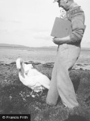 Orkney, Swan's Nest, Unstan c.1955, Orkney Islands