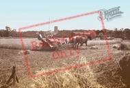 Harvest Time c.1930, Ormesby St Margaret