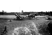 Harvest Time Near The Church c.1930, Ormesby St Margaret