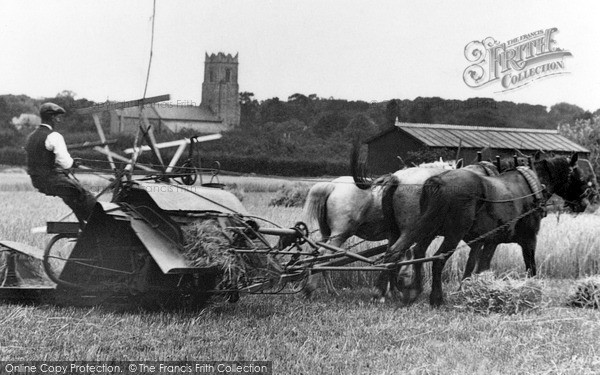 Photo of Ormesby St Margaret, Horse Drawn Harvester c.1930