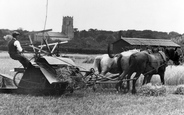 Horse Drawn Harvester c.1930, Ormesby St Margaret