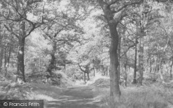 Ruff Wood c.1958, Ormskirk