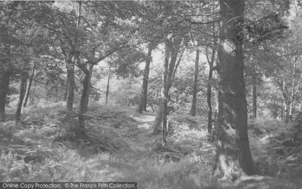 Photo of Ormskirk, Ruff Wood c.1958