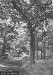 Ruff Wood c.1958, Ormskirk