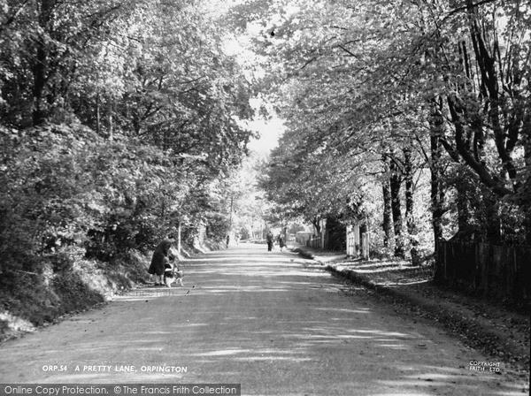 Photo of Orpington, A Pretty Lane c.1955 - Francis Frith