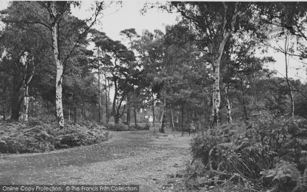 Photo of Orpington, Petts Wood c.1955