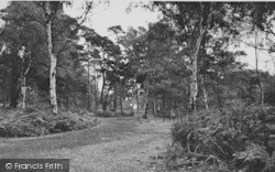 Petts Wood c.1955, Orpington