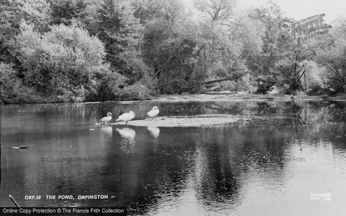 Photo of Orpington, The Pond c.1960