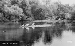 The Pond c.1960, Orpington