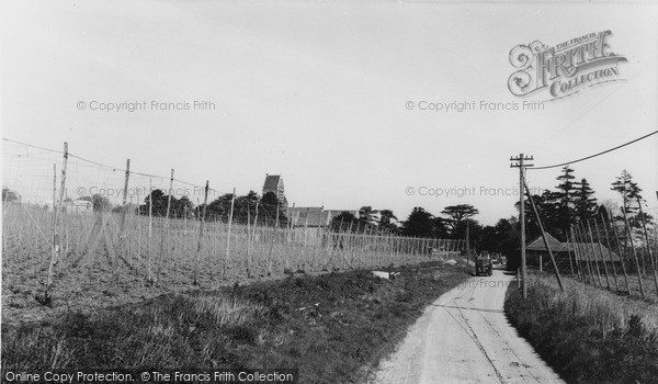 Photo of Ospringe, Church And Hop Fields c.1960