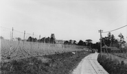 Church And Hop Fields c.1960, Ospringe