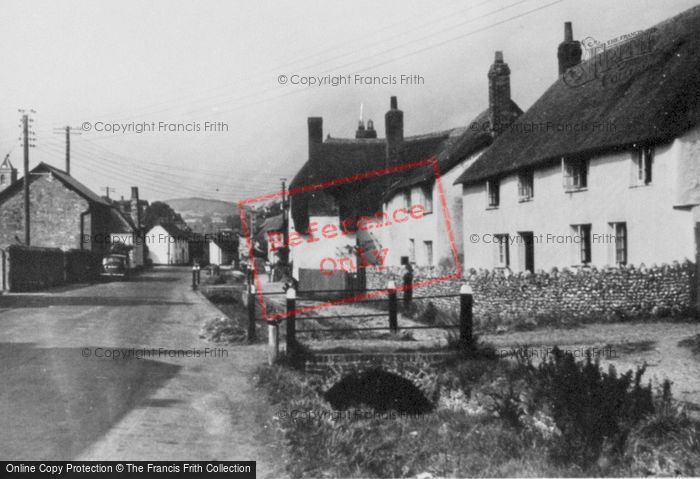Photo of Otterton, Thatched Cottages c.1950