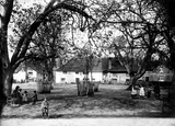 The Village Green 1914, Otterton