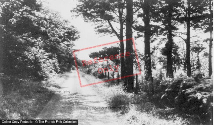Photo of Ottery St Mary, Chine Hill c.1960