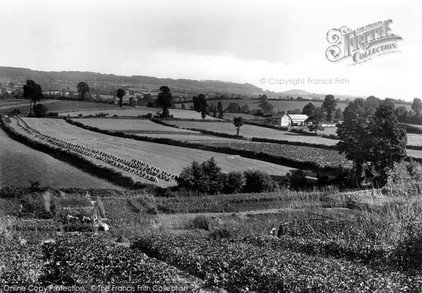 Photo of Ottery St Mary, Sidmouth Gap From Tip Hill 1922