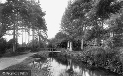 The Mill Stream 1922, Ottery St Mary