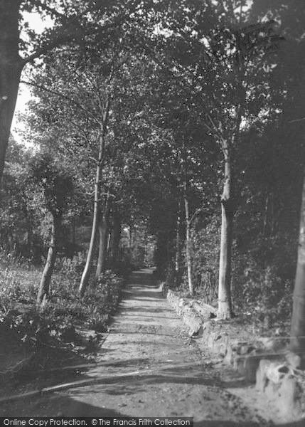 Photo of Overstrand, Village, The Avenue 1938