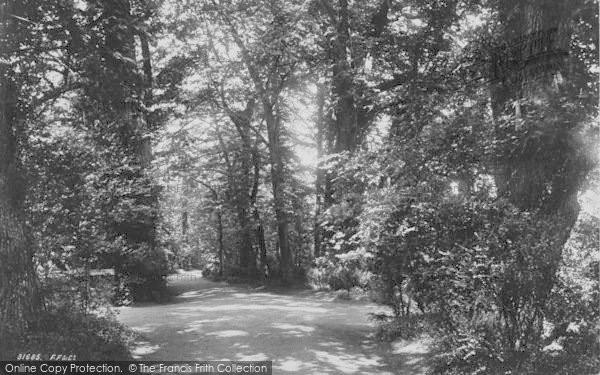 Photo of Oxford, Addison's Walk 1893