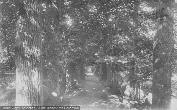 Photo of Oxford, Addison's Walk 1895