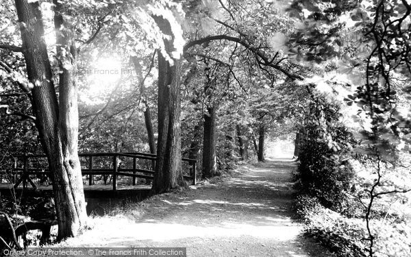Photo of Oxford, Addison's Walk, Magdalen College 1937