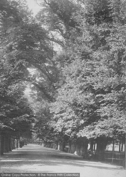 Photo of Oxford, Christ Church Avenue 1890