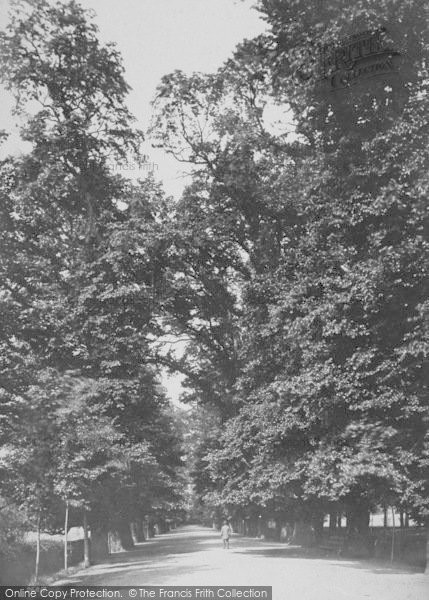 Photo of Oxford, Christ Church Avenue 1890