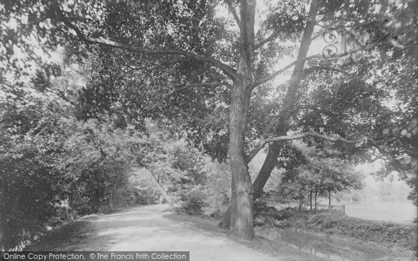 Photo of Oxford, Christ Church Walk 1890