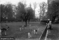 Magdalen College Deer Park 1912, Oxford