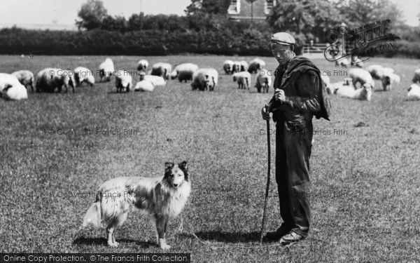 Photo of Oxford, Shepherd And His Dog, Cowley Road 1901