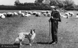 Shepherd And His Dog, Cowley Road 1901, Oxford