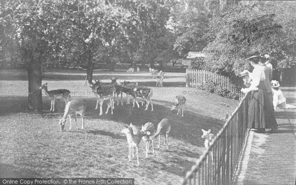 Photo of Oxford, The Deer Park, Magdalen  College 1890