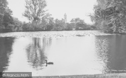The Lake, Worcester College c.1955, Oxford