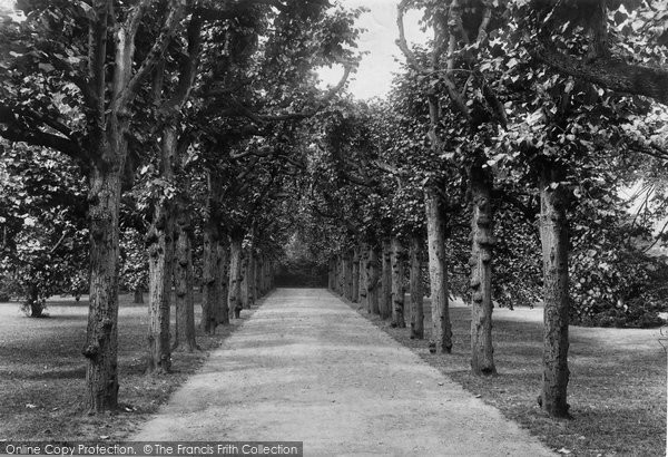 Photo of Oxford, Trinity College, Lime Tree Walk 1902