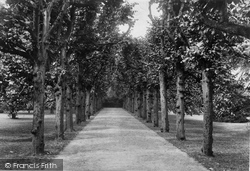 Trinity College, Lime Tree Walk 1902, Oxford