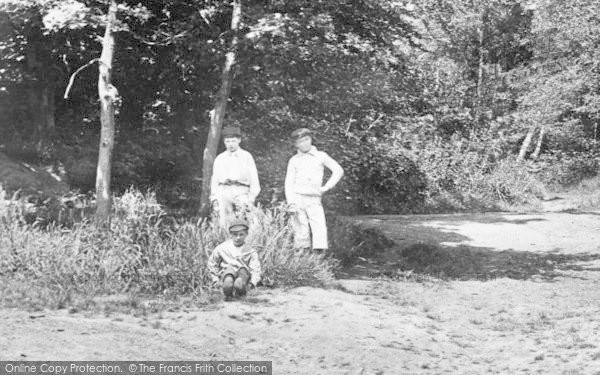 Photo of Oxshott, Boys In The Woods 1904