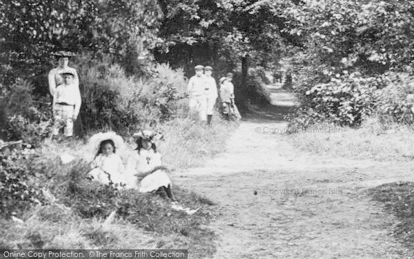 Photo of Oxshott, People In The Woods 1904