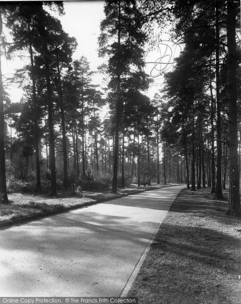 Photo of Oxshott, Sandy Lane, The Heath c.1965