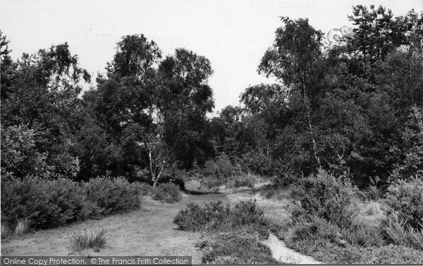 Photo of Oxshott, The Heath c.1955