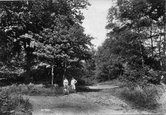 Woods 1904, Oxshott