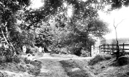 Woods 1904, Oxshott