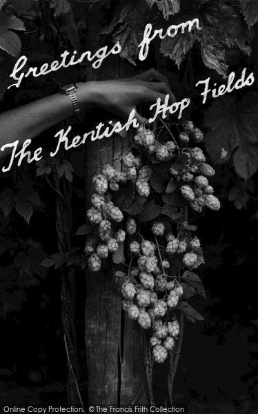 Photo of Paddock Wood, Greetings From The Kentish Hop Fields c.1955