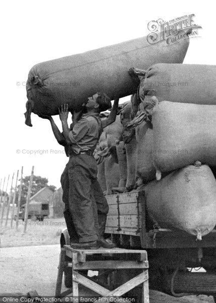 Photo of Paddock Wood, Man Loading The Hops c.1950