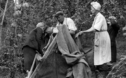 Measuring The Hops c.1950, Paddock Wood